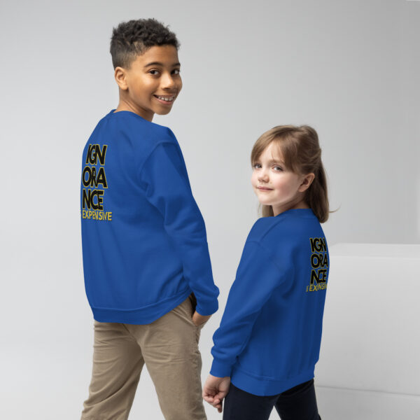 Ignorance is Expensive Blue Youth Sweatshirt - Image 3