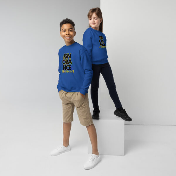 Ignorance is Expensive Blue Youth Sweatshirt - Image 4